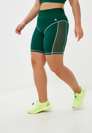Шорты спортивные adidas Originals. Цвет: зеленый