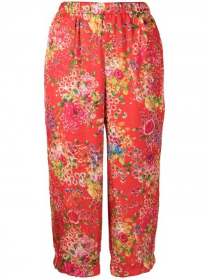 Укороченные брюки с цветочным принтом Comme Des Garçons. Цвет: красный