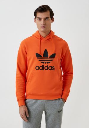 Худи adidas Originals. Цвет: оранжевый