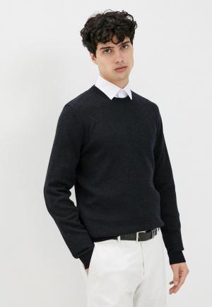 Джемпер Pierre Cardin. Цвет: синий